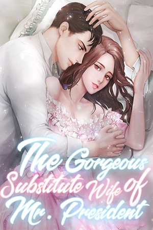The Gorgeous Substitute Wife of Mr. President