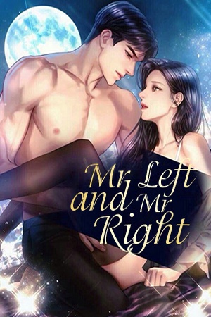 Cover of Mr Left and Mr Right