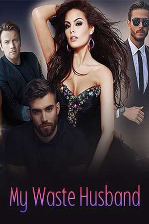 Cover of My Waste Husband