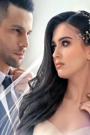 Cover of The Billionaire Heiress Strikes Back (Veronica and Carter)