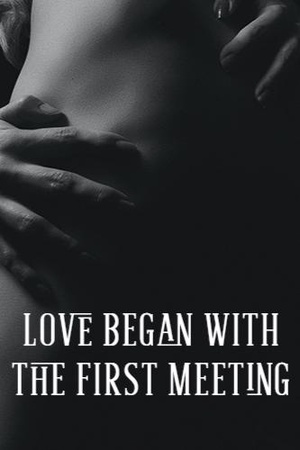 Cover of Love Began with the First Meeting