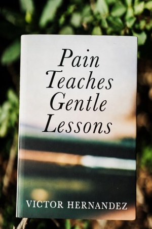 Stepbrother Mine A Son For Alpha Zoren (Ciara)