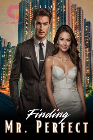 Finding Mr. Perfect