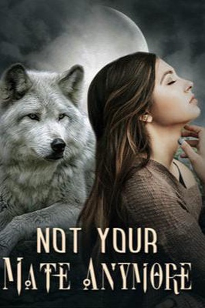 Cover of Not Your Mate Anymore