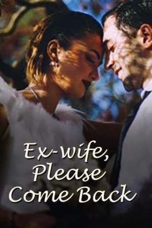 Cover of Ex-wife, Please Come Back