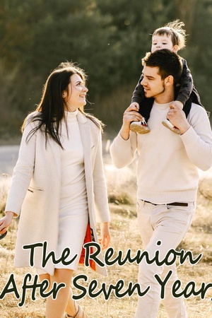 The Reunion After Seven Years