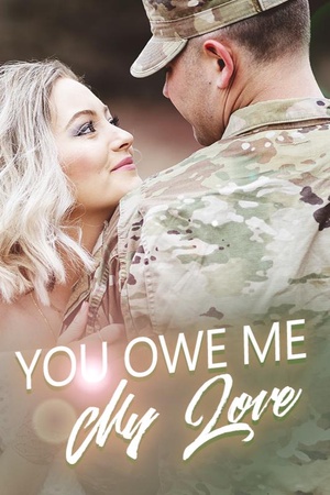 Cover of You Owe Me, My Love