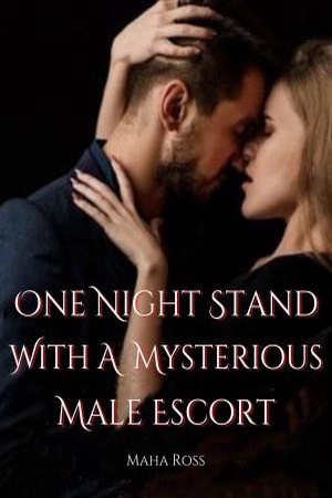 Cover of One Night Stand With A Mysterious Male Escort