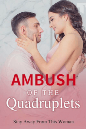 Cover of Ambush of the Quadruplets