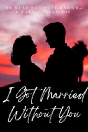 Cover of I got married without you (James and Amelia)