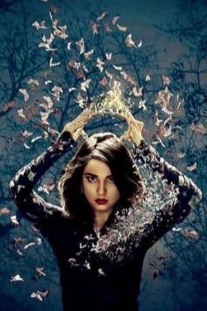 The Female Alpha’s Sanctuary