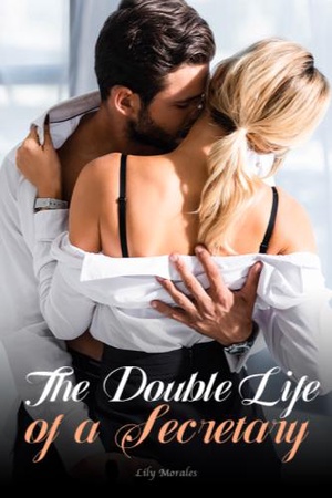 Cover of The Double Life of a Secretary (Leo and Megan)