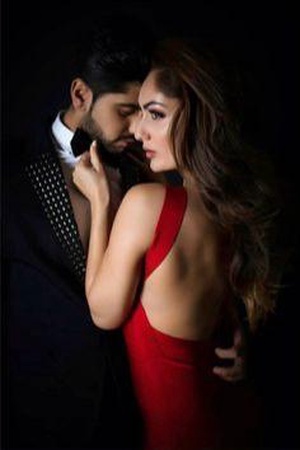 Cover of Sir madame has run away again (Lily and Carson)