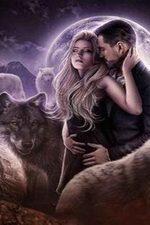 Cover of Rejected by the Beta, Claimed by the Alpha